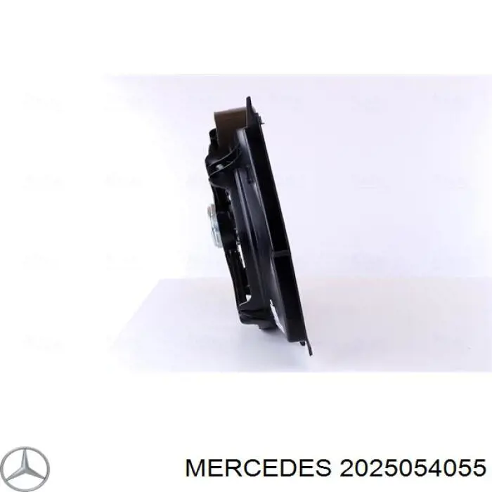 Купити A2025054055 Mercedes Облицювання рамки радіатора