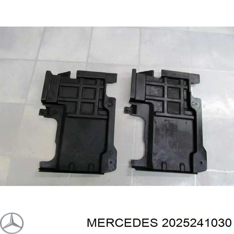 A2025241030 Mercedes Захист піддона двигуна