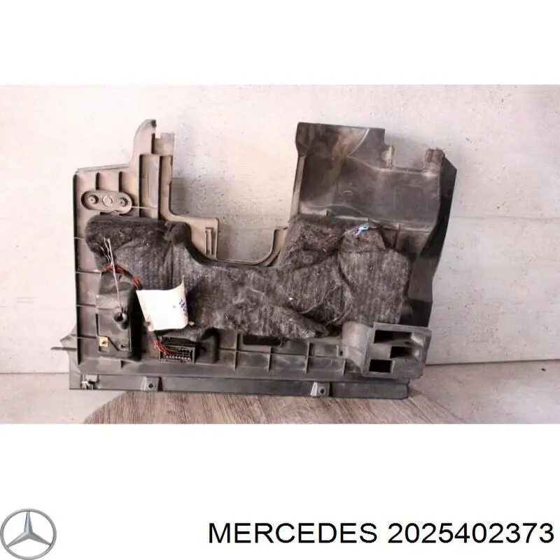  2025402373 Mercedes