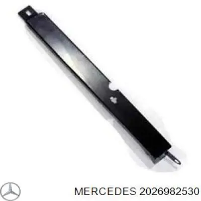 Купити A2026982530 Mercedes Заглушка отвору під домкрат/заглушка порогу