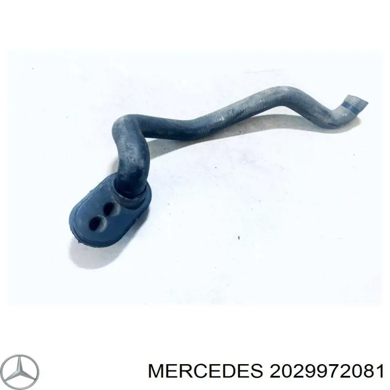  A2029972081 Mercedes