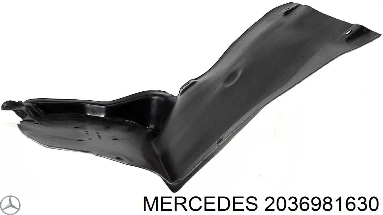 A2036981630 Mercedes підкрилок заднього крила, правий