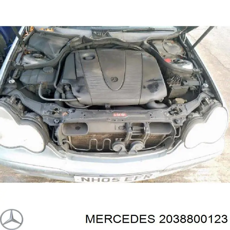 Купити A20388001237D11 Mercedes Захисна решітка радіатора