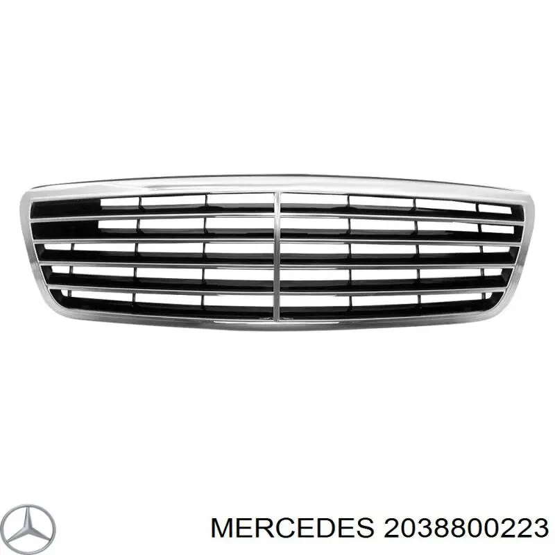 Решітка радіатора A20388002239744 Mercedes