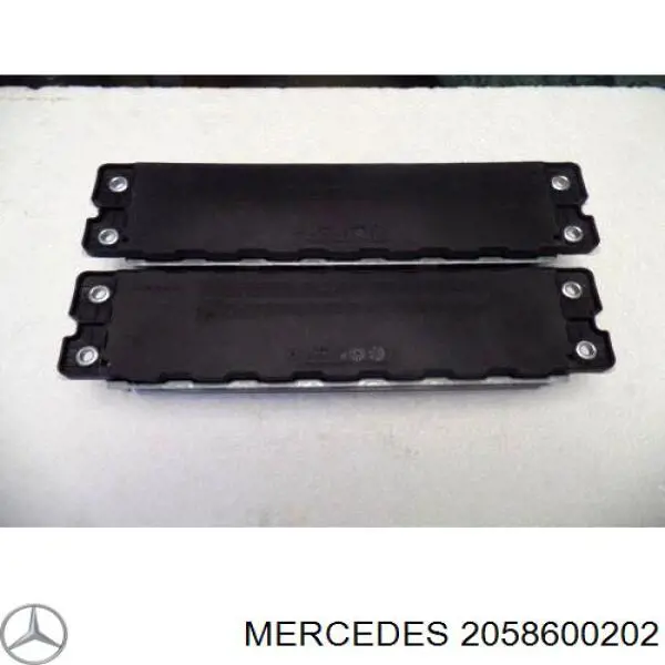 Ейрбег захисту колін нижня Mercedes A2058600202 ціна, від 146.02 USD