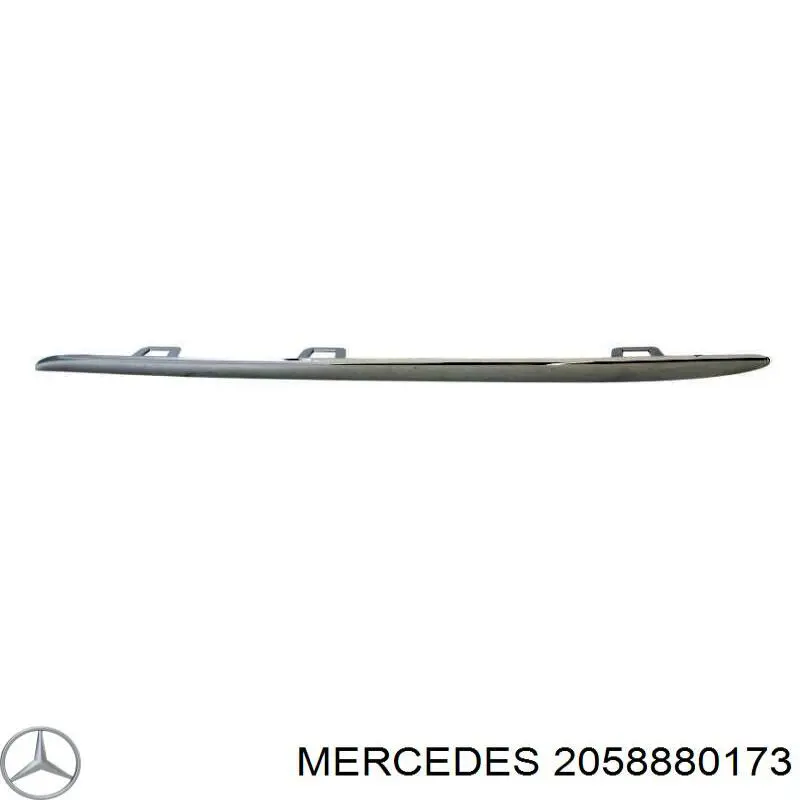  2058880173 Mercedes