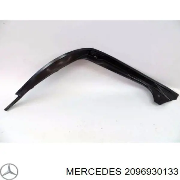 A2096930133 Mercedes 