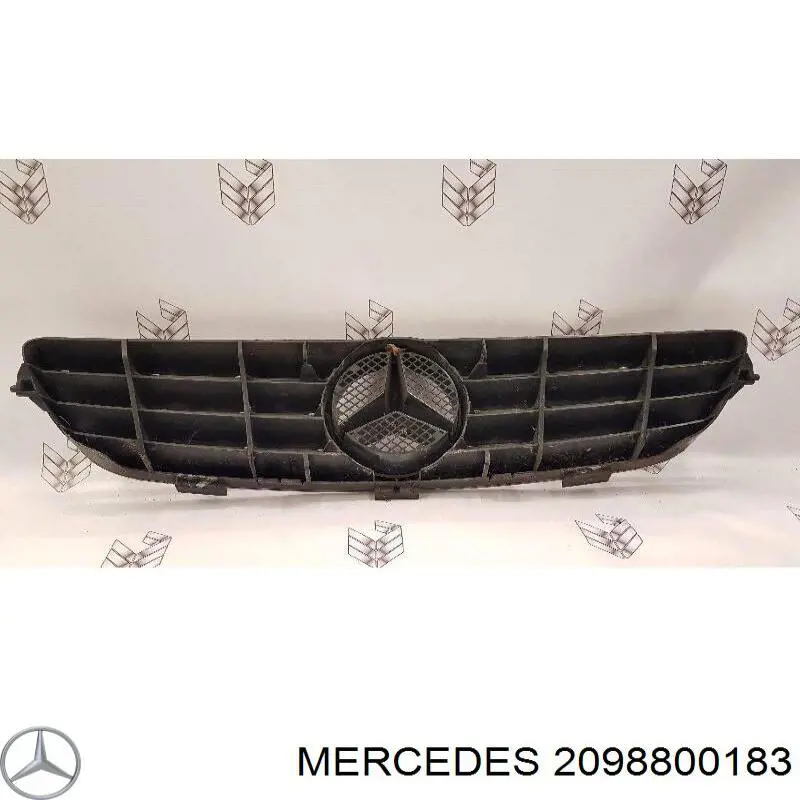 A2098800183 Mercedes Решітка радіатора