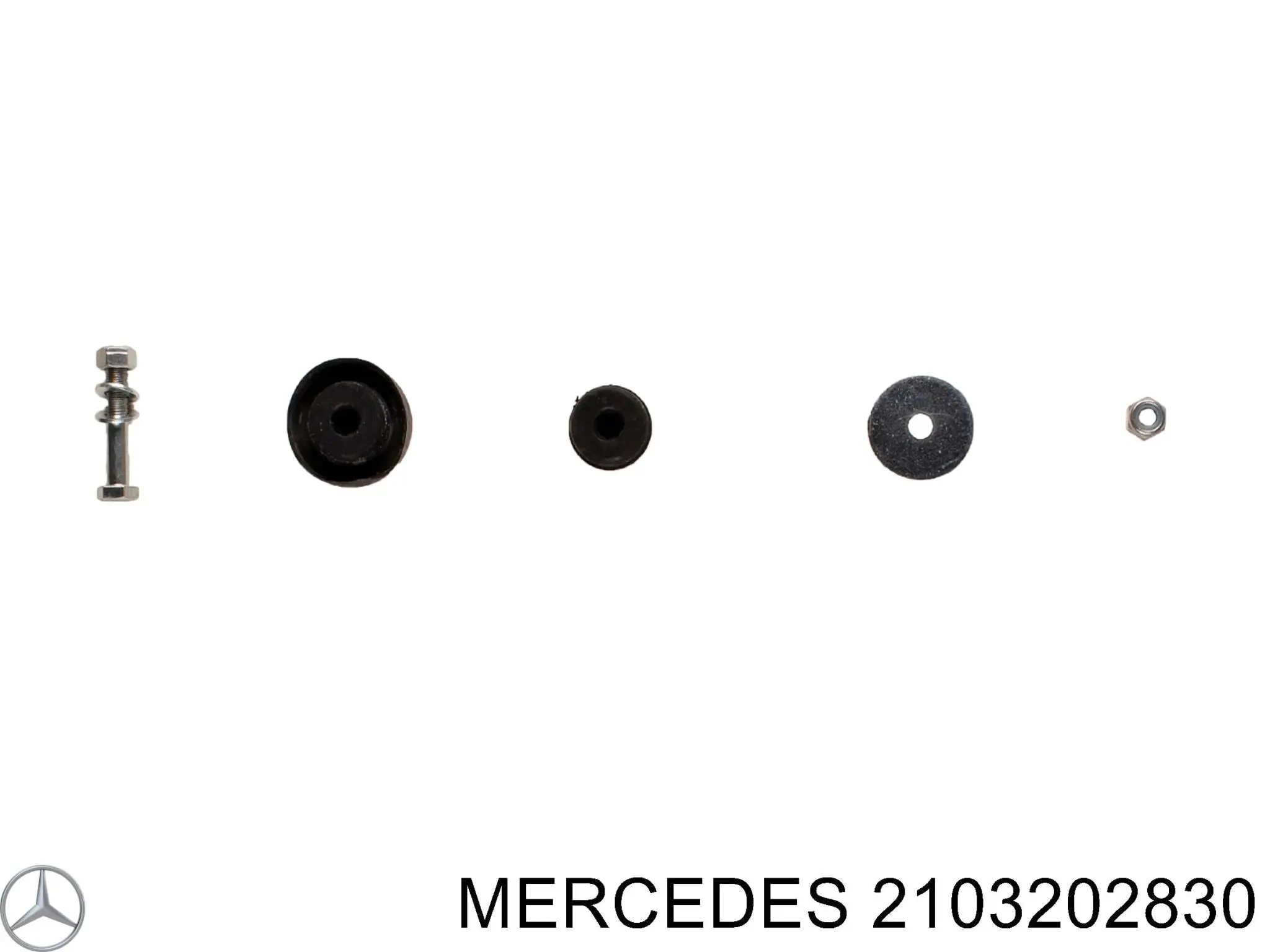 Амортизатор передній A2103200530 Mercedes