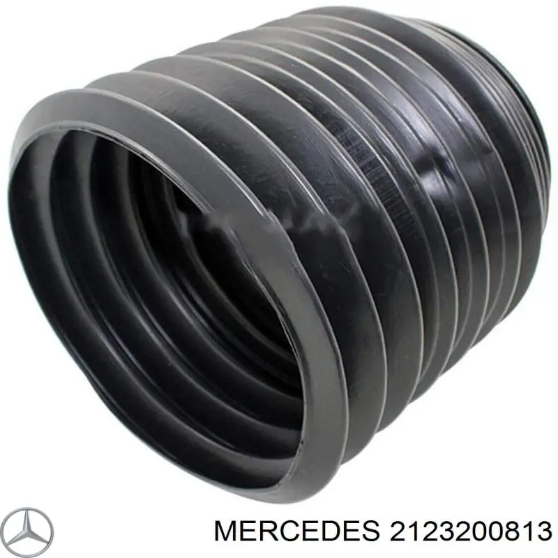 A2123200813 Mercedes Пневмоподушка/Пневморессора моста переднього