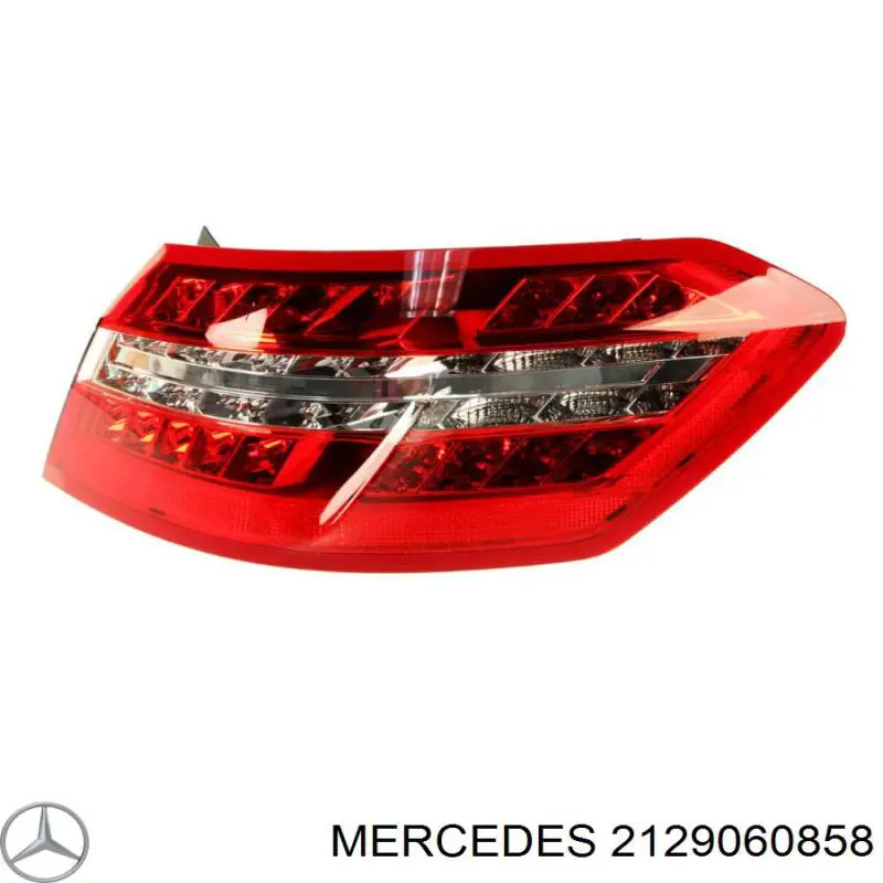 ZBZ569310R Signeda 