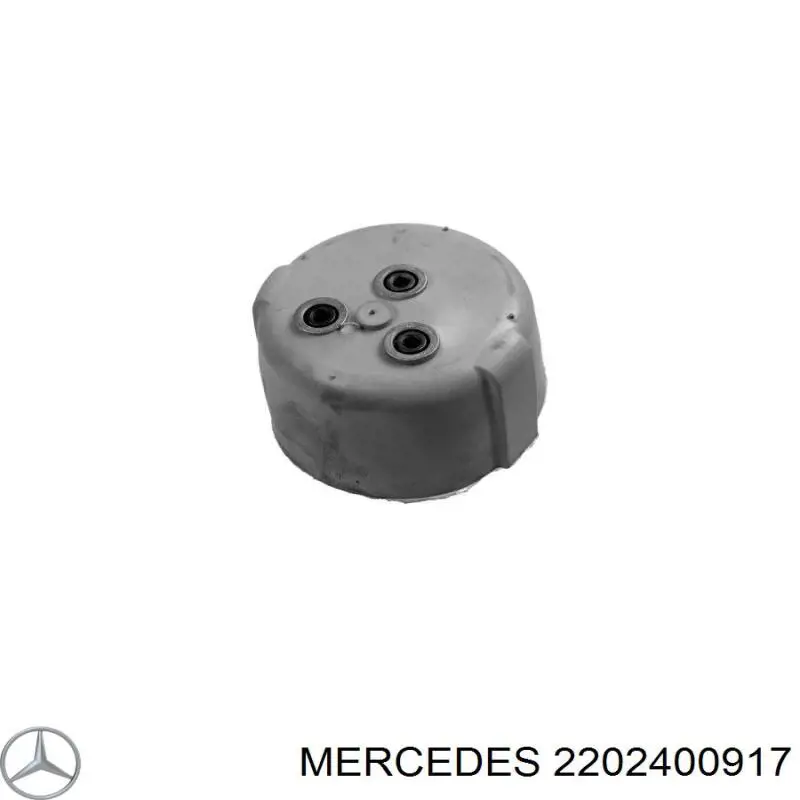 2202400917 Mercedes подушка (опора двигуна ліва/права)