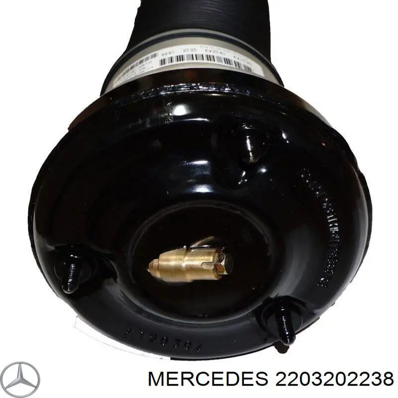 Амортизатор передній, правий на Mercedes S-Class (W220)