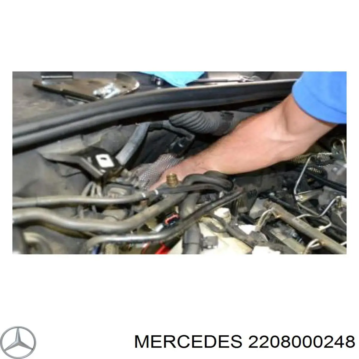  2208000248 Mercedes