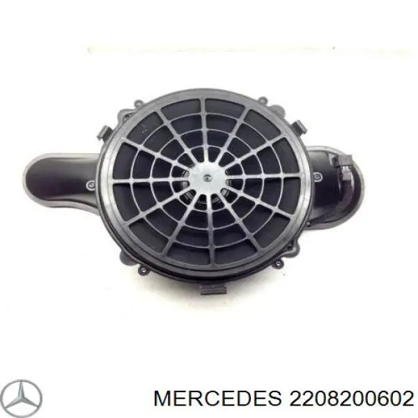  2208200602 Mercedes