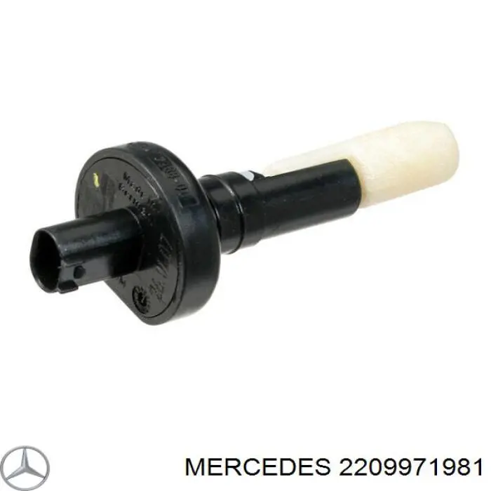  A2209971981 Mercedes