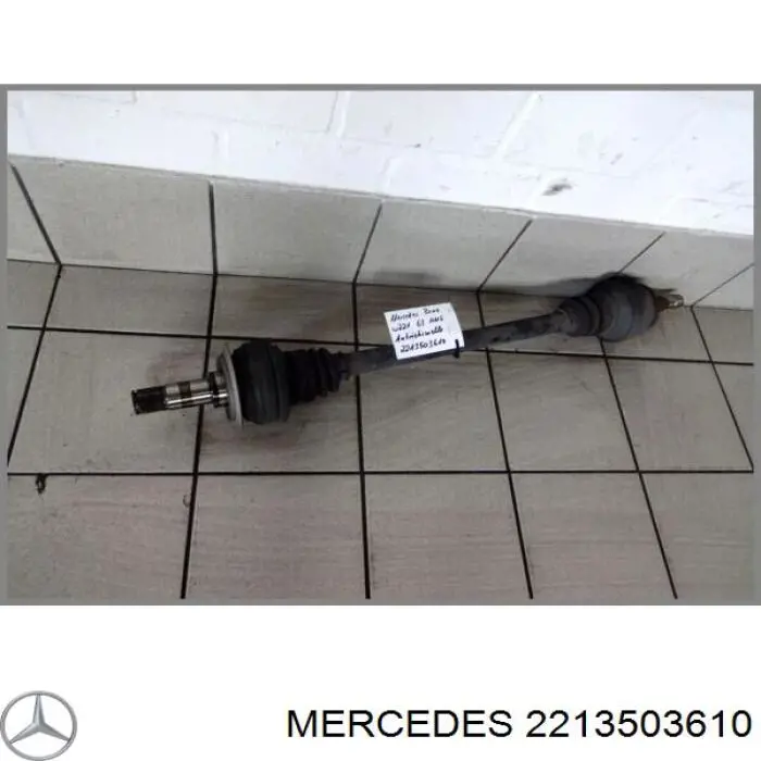 A2213503610 Mercedes Привід задній