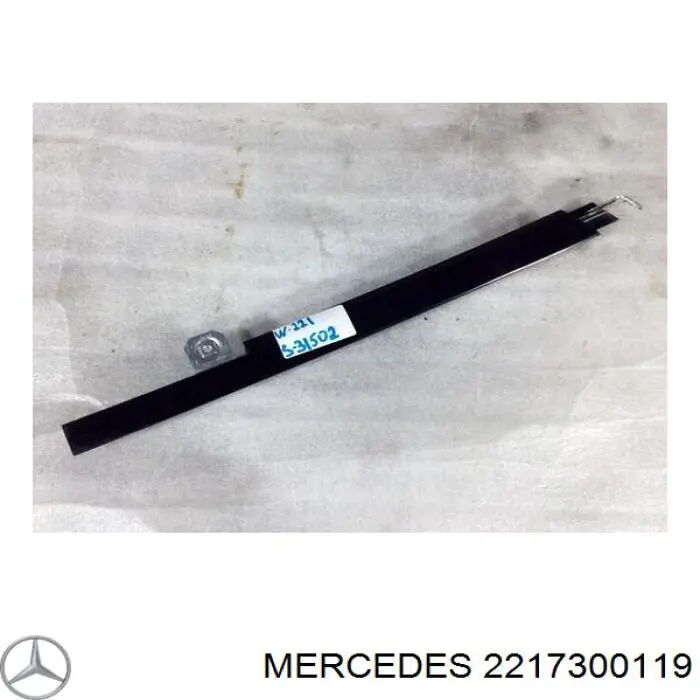  2217300119 Mercedes