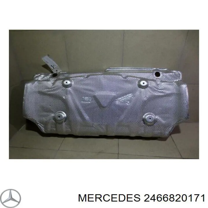  A2466820171 Mercedes