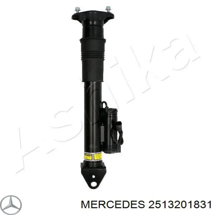 A2513202931 Mercedes амортизатор задній
