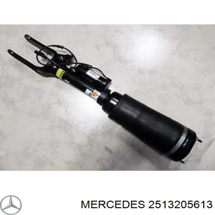 2513205613 Mercedes амортизатор передній