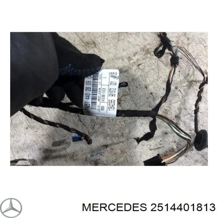 A2514401813 Mercedes Джгут проводів передньої двері