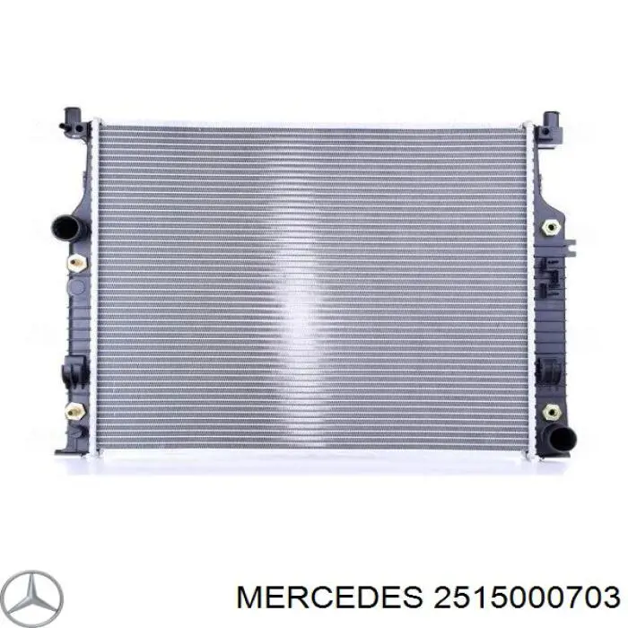 Радіатор охолодження двигуна 2515000703 Mercedes