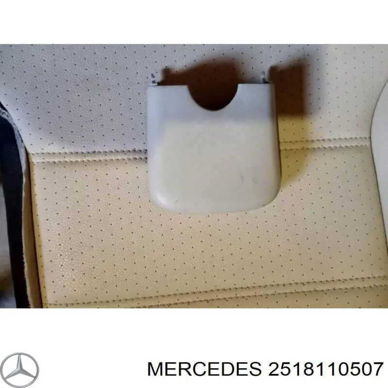 A2518110507 Mercedes 