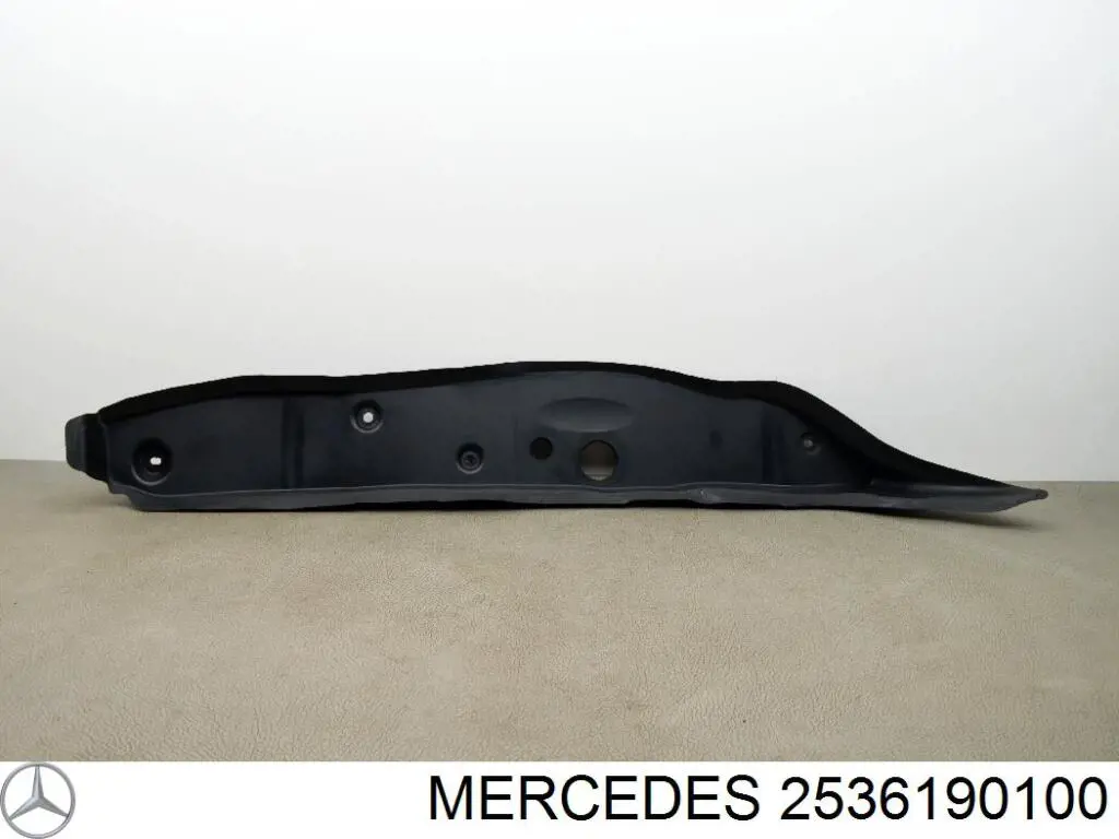  2536190100 Mercedes