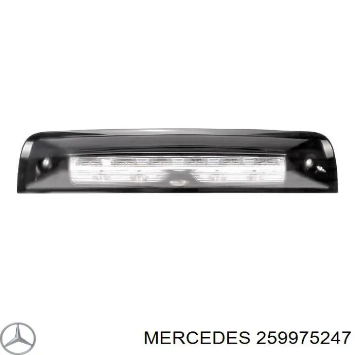 Купити A0259975247 Mercedes Сальник АКПП/КПП, вхідного/первинного валу