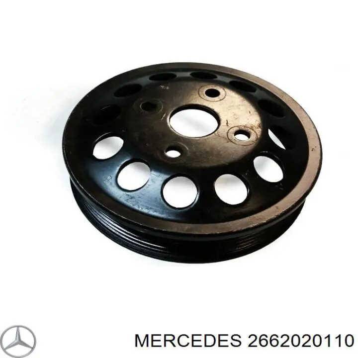 A2662020110 Mercedes 