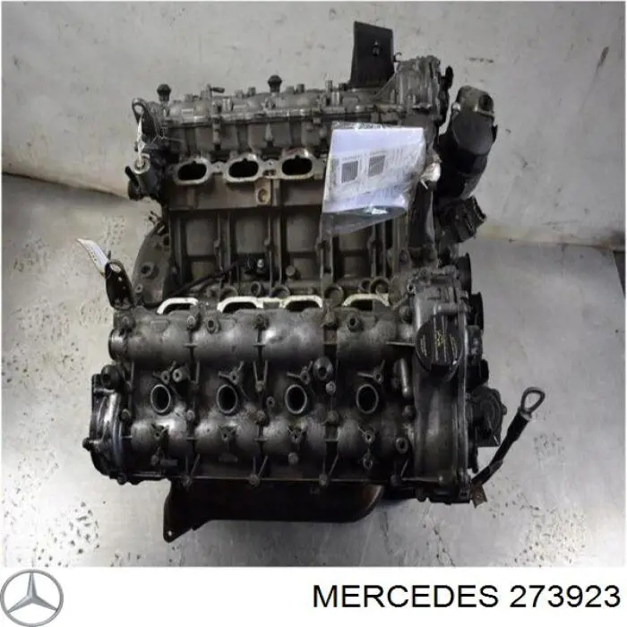 273923 Mercedes Мотор в зборі