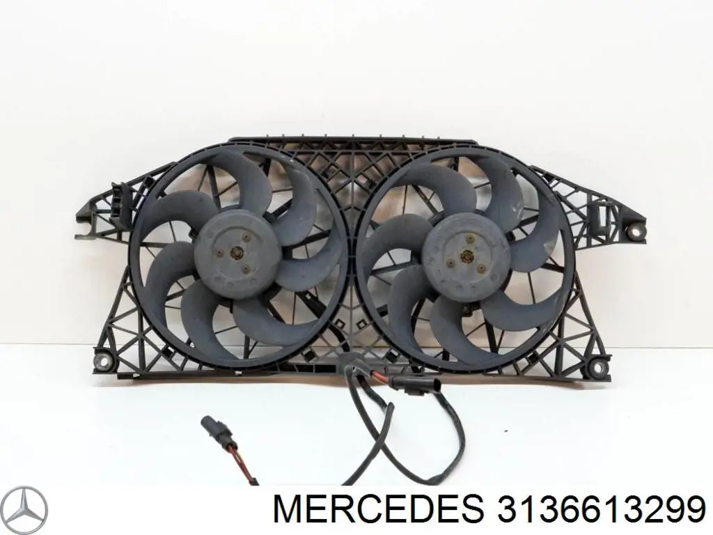 A3136613299 Mercedes 