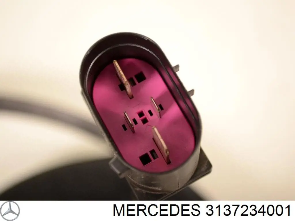1137328751 Mercedes 