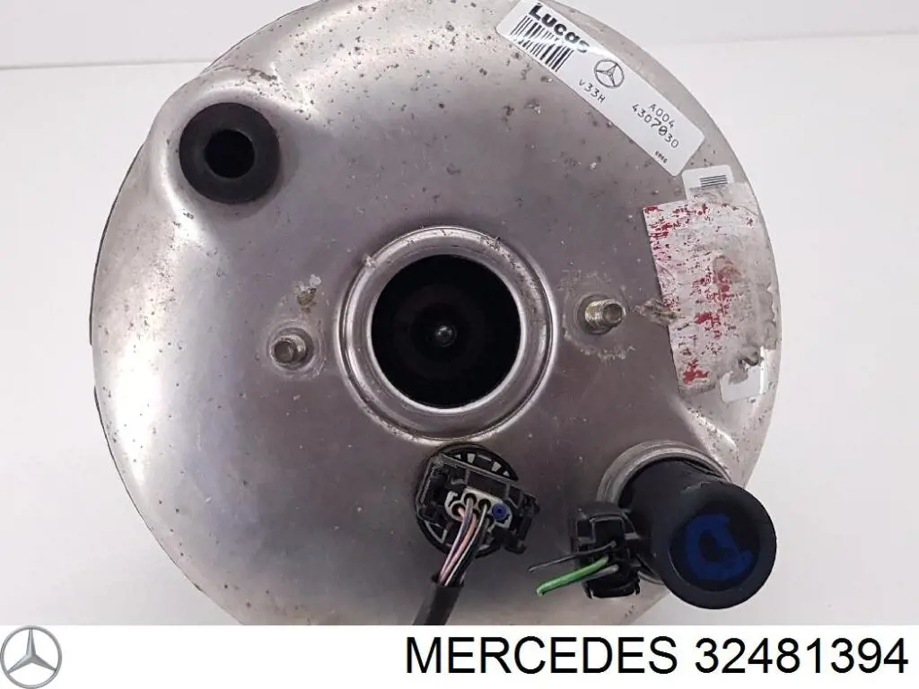  32481394 Mercedes