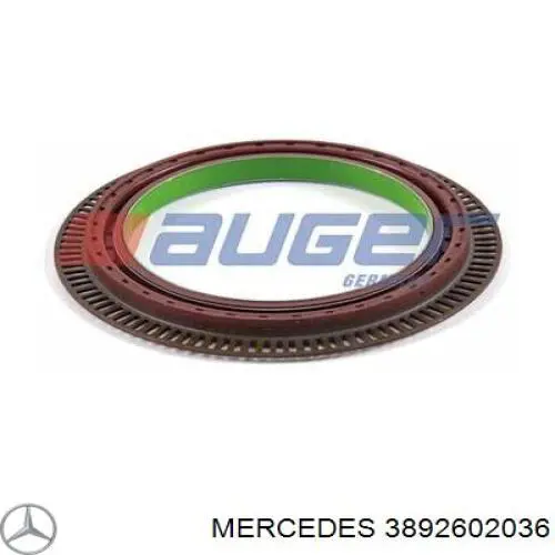 Кільце синхронізатора A3892602036 Mercedes