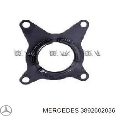 A3892602036 Mercedes Кільце синхронізатора