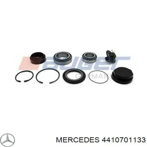 Купити A4410701133 Mercedes Трубка паливна, комплект