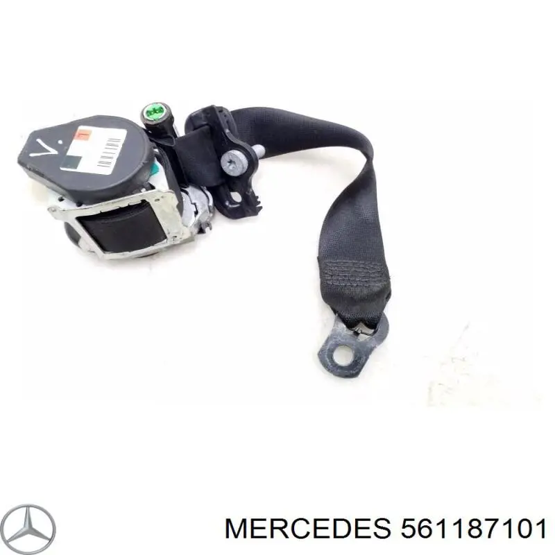 561187101 Mercedes 