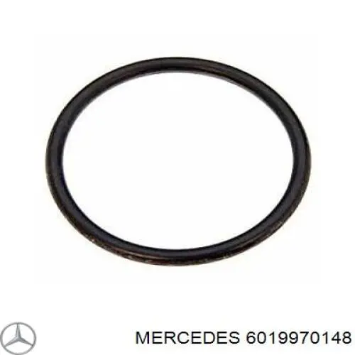 Ущільнююче кільце фільтра грубого очищення на Mercedes Sprinter (903)