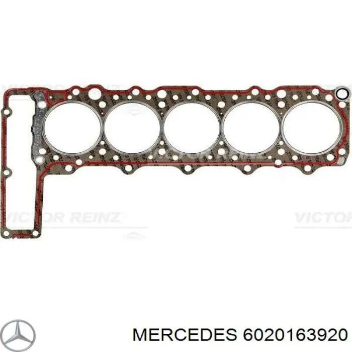 6020163920 Mercedes прокладка головки блока циліндрів (гбц)