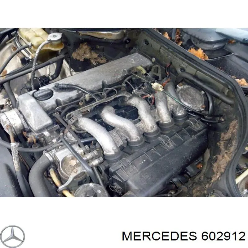 602912 Mercedes Мотор в зборі