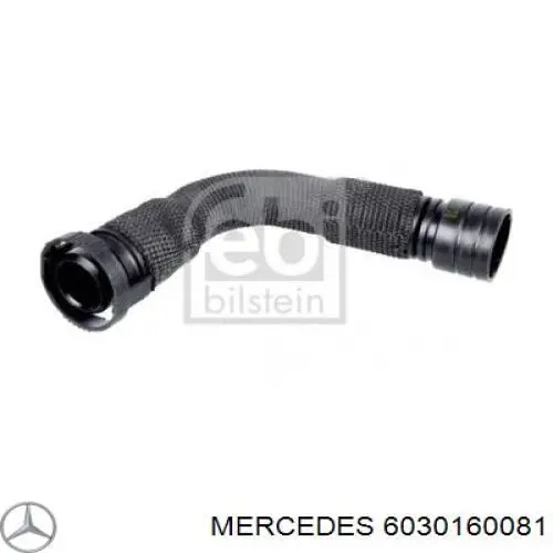6030160081 Mercedes патрубок вентиляції картера, масловіддільника