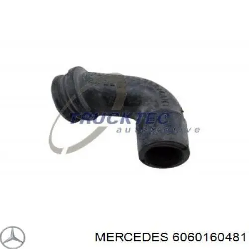 6060160481 Mercedes патрубок вентиляції картера, масловіддільника