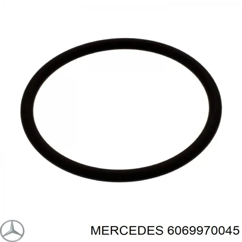 Кільце форсунки інжектора, посадочне 6069970045 Mercedes