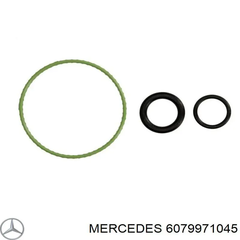 Прокладка радіатора масляного MERCEDES 6079971045