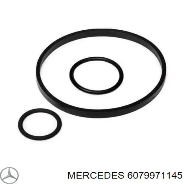 Прокладка адаптера маслянного фільтра 6079971145 Mercedes