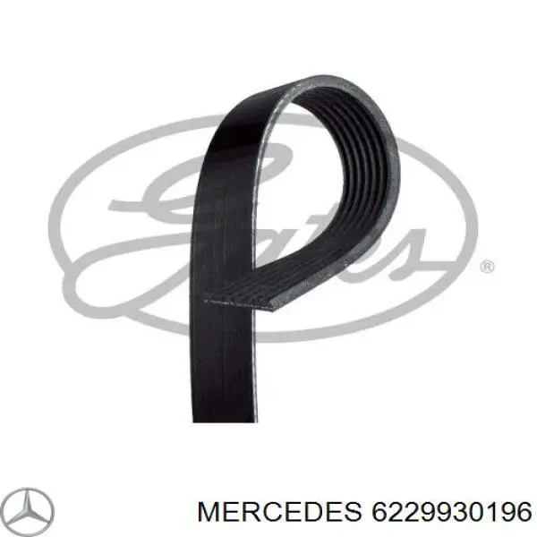 Ремінь приводний, агрегатів 6229930196 Mercedes