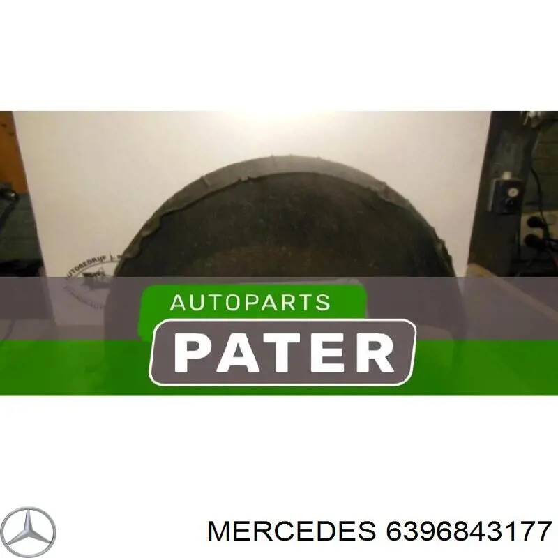 Купити A6396843177 Mercedes Підкрилок заднього крила, правий