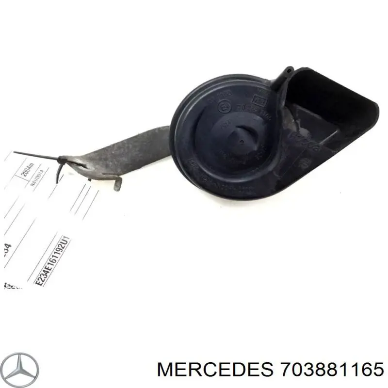 703881165 Mercedes 